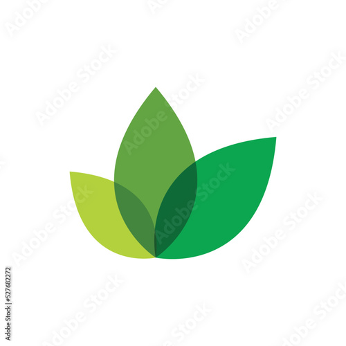 Green leaf logo