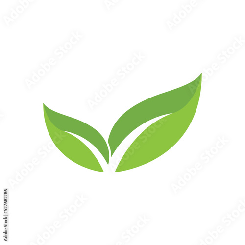 Green leaf logo