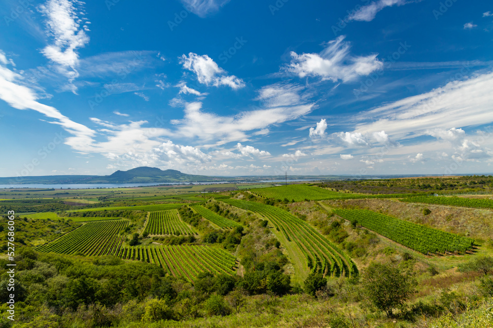 Vineyards near Nove Mlyny reservoir with Palava in Southern Moravia, Czech Republic