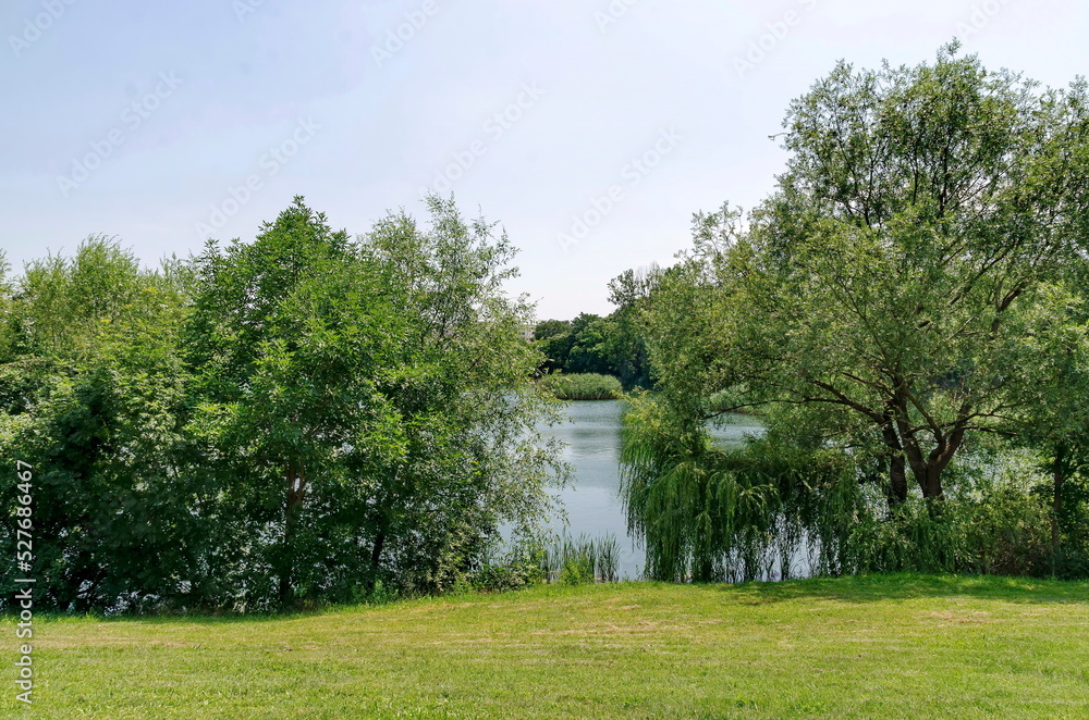 Springtime green on a fresh trees and lake in residential district Drujba, Sofia, Bulgaria Springtime green on a fresh trees and lake in residential district Drujba, Sofia, Bulgaria
