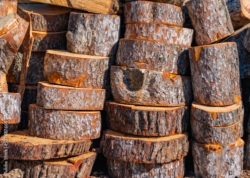 Cut logs