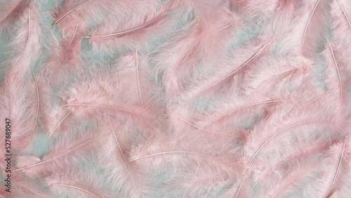 Pink feathers texture, soft plumelets background close-up top view. Softness and fur concept.  photo