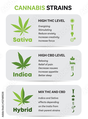Cannabis info green