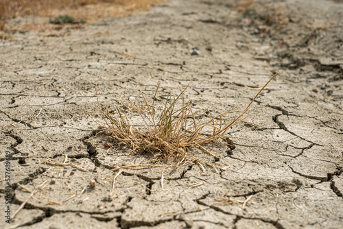 dry parched cracked earth  result of global warming  ecology