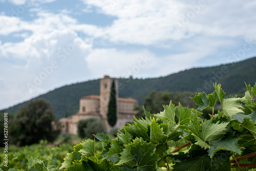 Картината върху платно sant'antimo abbey in Tuscany, scenic typical Tuscan landscape with green cypress