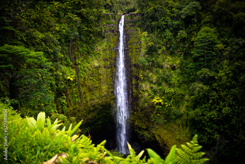 Akaka falls, Waterfalls in Big Island, Hawaii, USA, America, Water falling down more than 127 Meters to the ground  photo