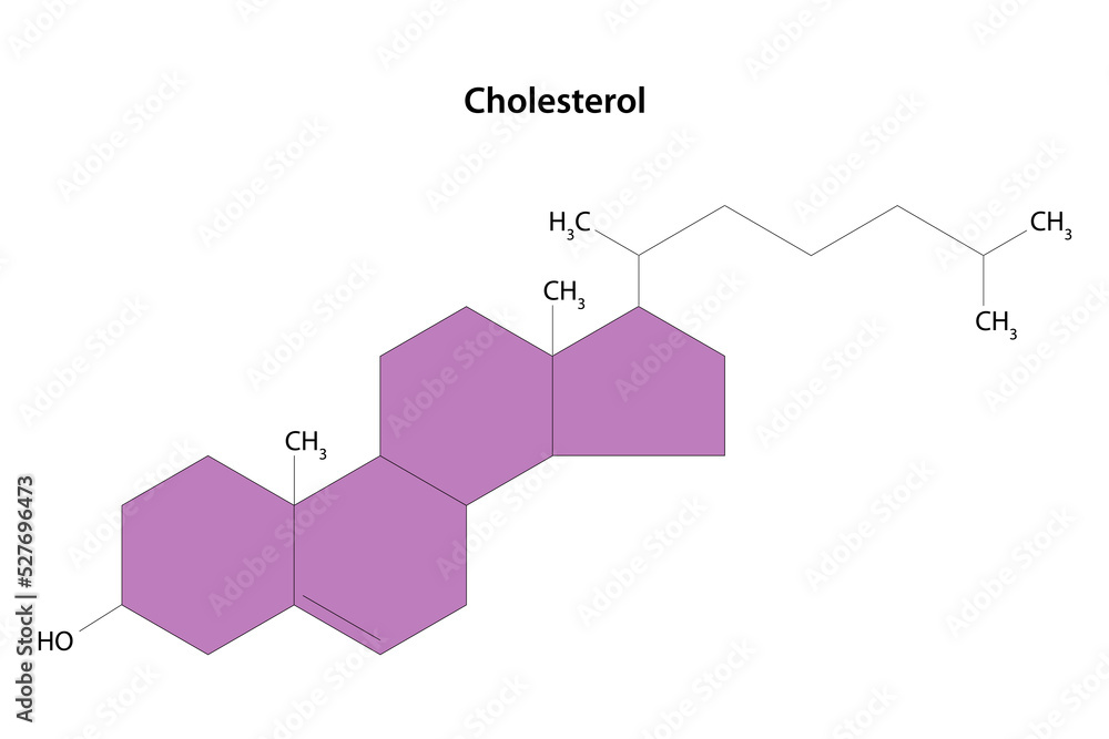 Cholesterol molecule. Structural formula. Essential component of cell membranes and precursor of steroid hormones. Cholesterol molecule. Structural formula. Essential component of cell membranes and precursor of steroid hormones.
