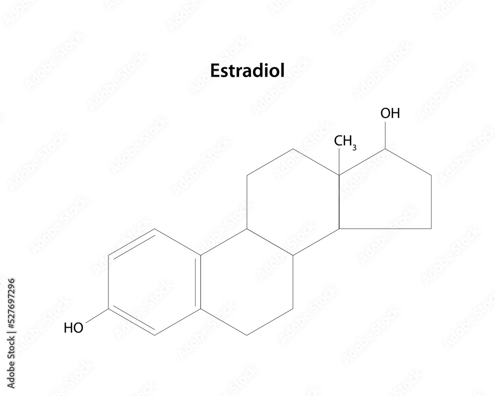 Estradiol is the major female sex hormone. Structural formula. Estradiol is the major female sex hormone. Structural formula.