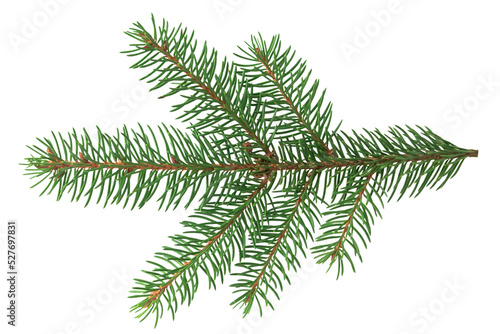 christmas tree branch isolated on white