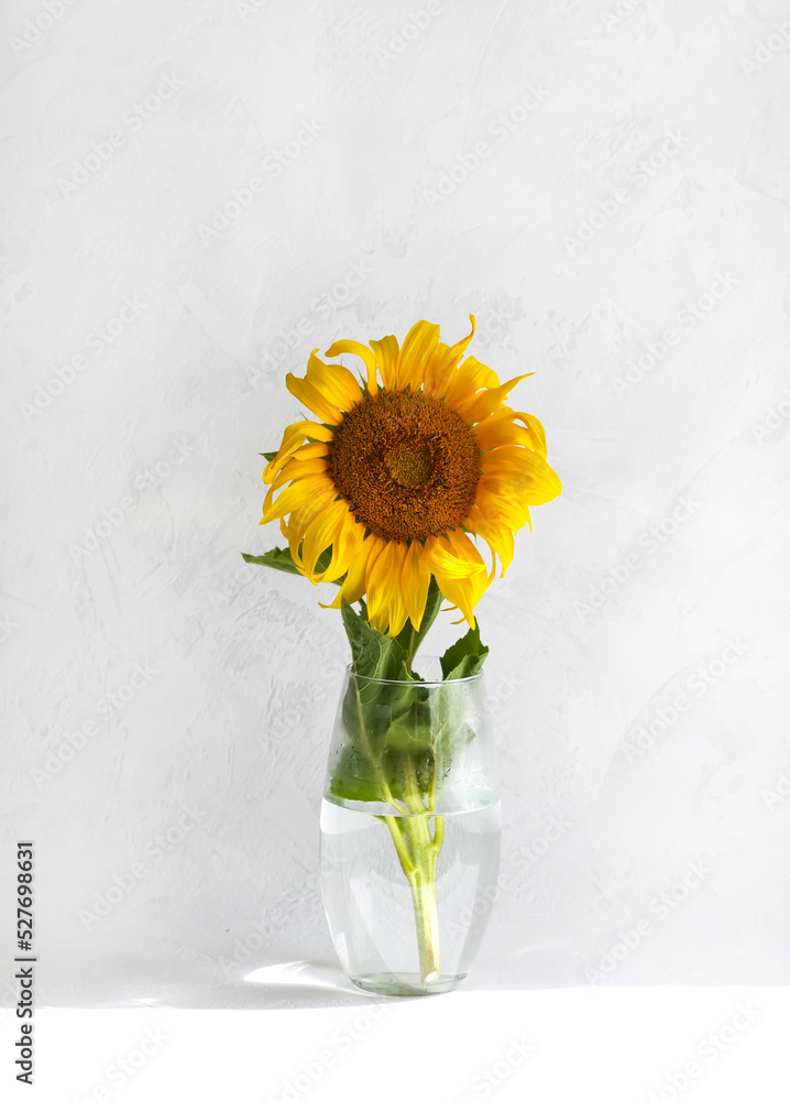 Fototapeta premium Sunflower in a vase