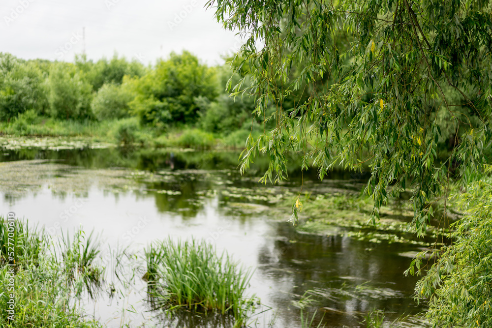 Beautiful cloudly summer natural landscape with a river by green foliage of trees. Beautiful cloudly summer natural landscape with a river by green foliage of trees.
