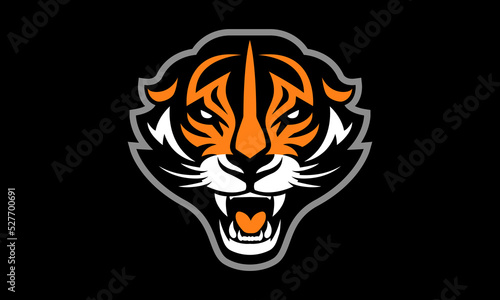 Tiger illustrated vector sports team mascot logo