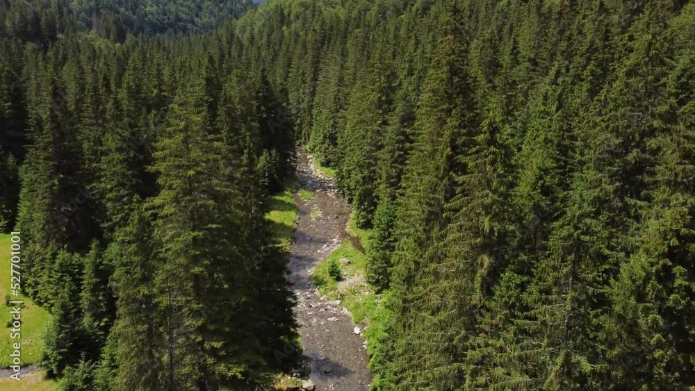 AERIAL: Water flows through the stones. The sun shines through the trees. Willows along the creek. AERIAL: Water flows through the stones. The sun shines through the trees. Willows along the creek.