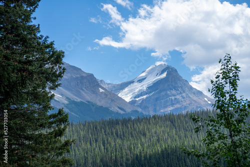mountain and tress in banff national park