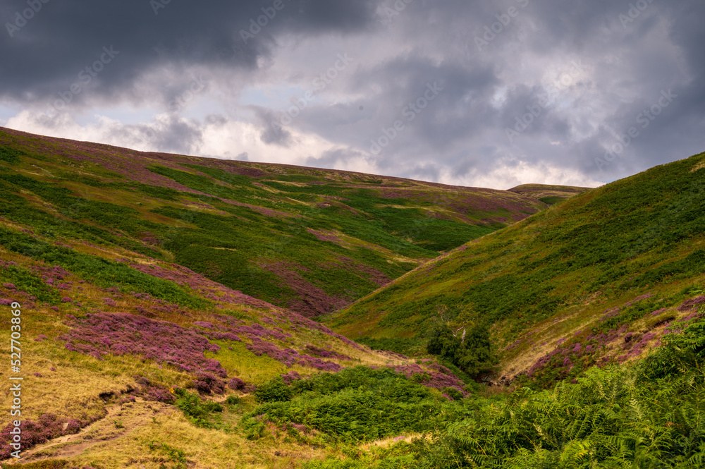 landscape with clouds