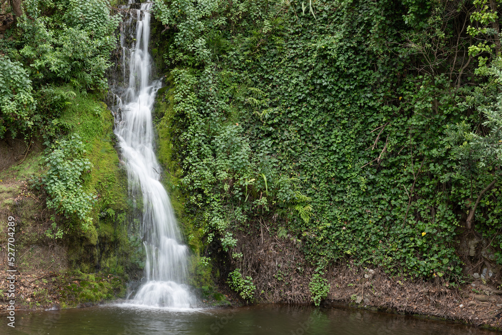 The foot of a small waterfall in the Centennial Gardens, Napier, New Zealand. The foot of a small waterfall in the Centennial Gardens, Napier, New Zealand.