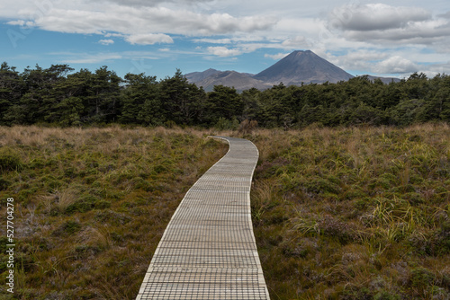 Slika na platnu View of the volcanic cones of Mount Tongariro and Mount Ngauruhoe from a boardwalk
