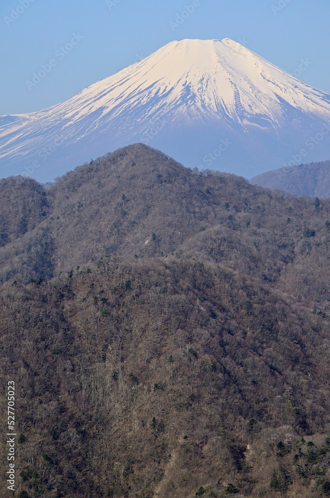 丹沢の丹沢主稜　春の大室山より望む富士山
丹沢　大室山より富士山、その手前が畦ヶ丸、手前が善六山
