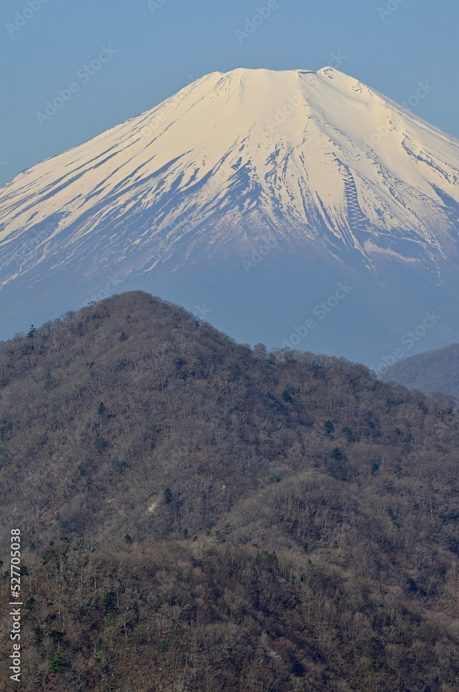 丹沢の丹沢主稜　大室山より望む富士山
丹沢　大室山より富士山、その手前左が畦ヶ丸
