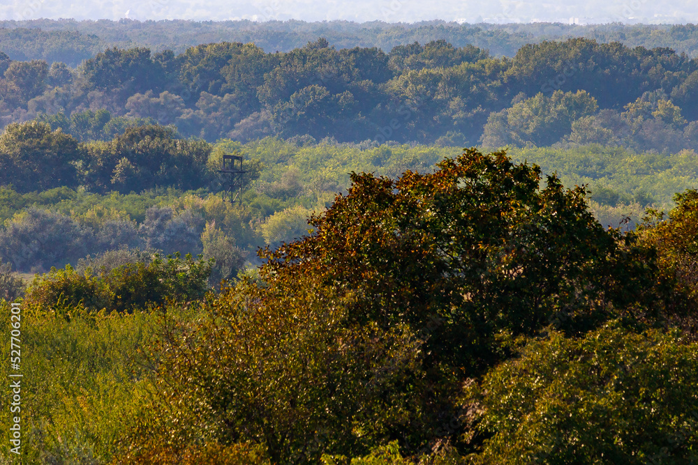 Fototapeta premium The hilly nature of Eastern Europe. Background with copy space for text, toned