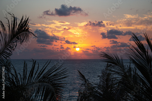 sunset in the maldives island wtih palms tree