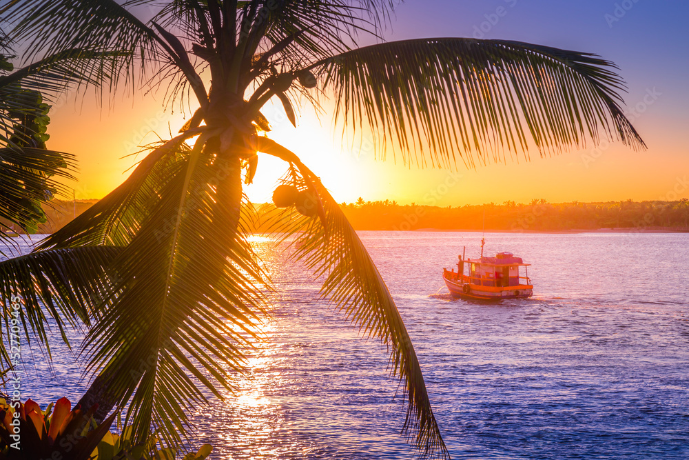 Idyllic Porto Seguro Beach at sunset with palm trees in Trancoso, BAHIA