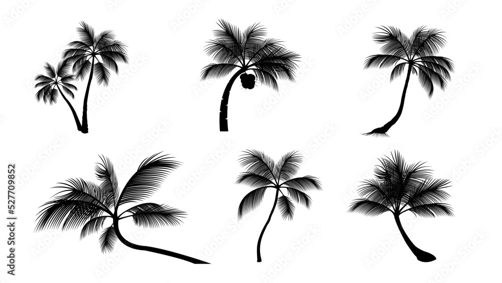 Set Of Coconut Palm Tree Silhouettes