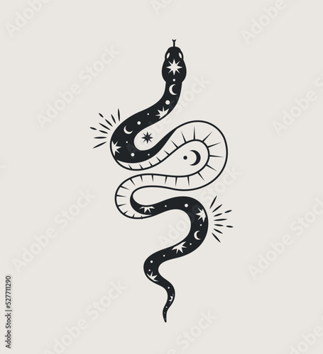 Mystical esoteric snake