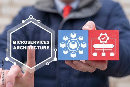 Concept of Microservice Architecture. Microservices Architecture Software Integrate. Micro services.