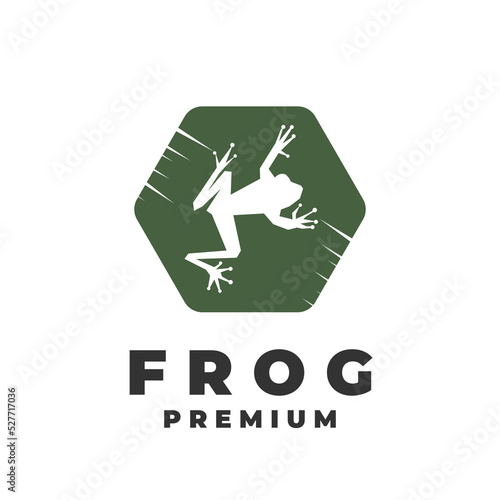 Fotografie Frog vector illustration logo with green hexagon