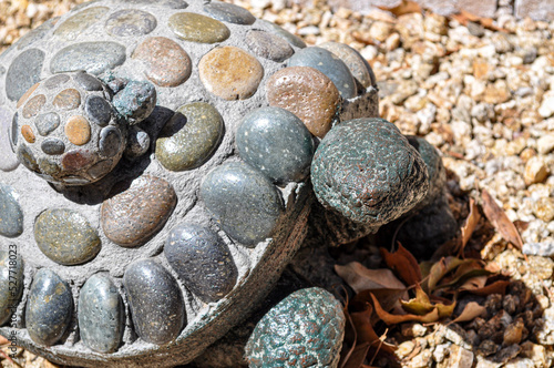 Photography turtle sculpture