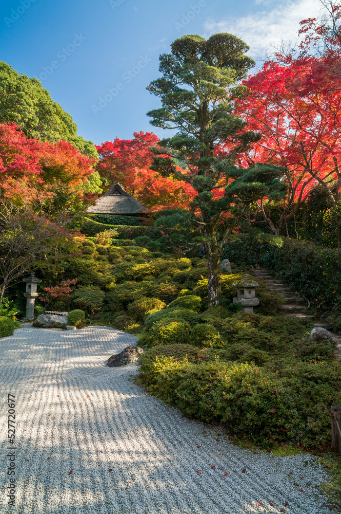 京都 秋の金福寺の紅葉と枯山水の庭園