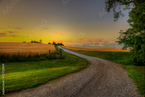 Country Road moves into the sunset through a cornfield, in the summer time 