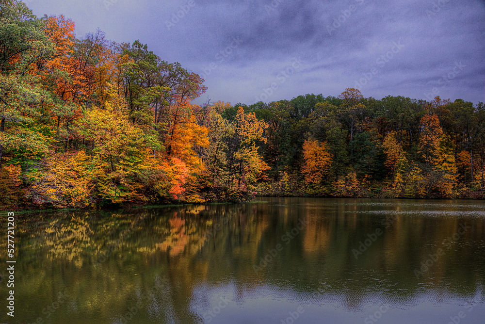Trees at peak foliage reflected in the calm waters of Tywappity Lake 