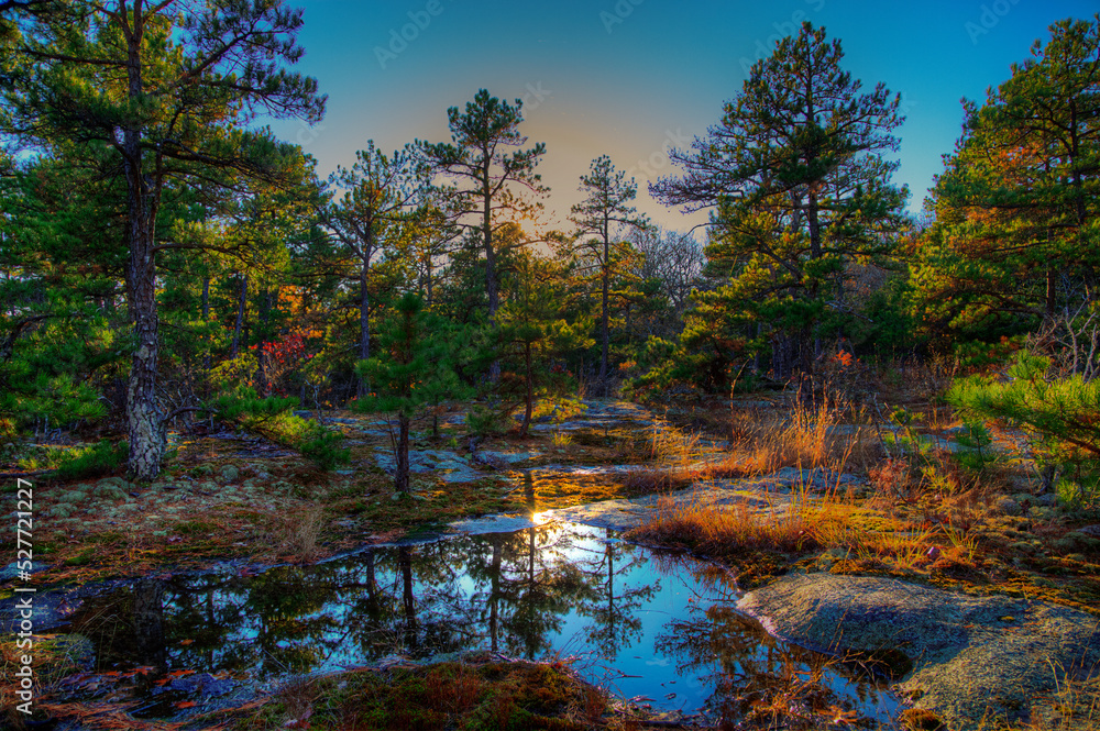 Piney Glade Pickle Springs Nature Area After the storm when depressions on the glade fill in with water and create reflections of the landscape. Piney Glade Pickle Springs Nature Area After the storm when depressions on the glade fill in with water and create reflections of the landscape.