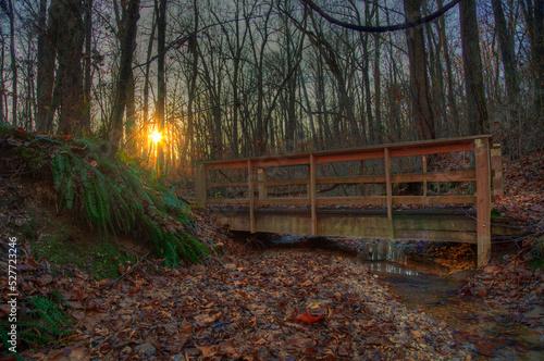 Bridge on a Hike Trail Holly Ridge Conservation Area  Bloomfield Missouri  photo