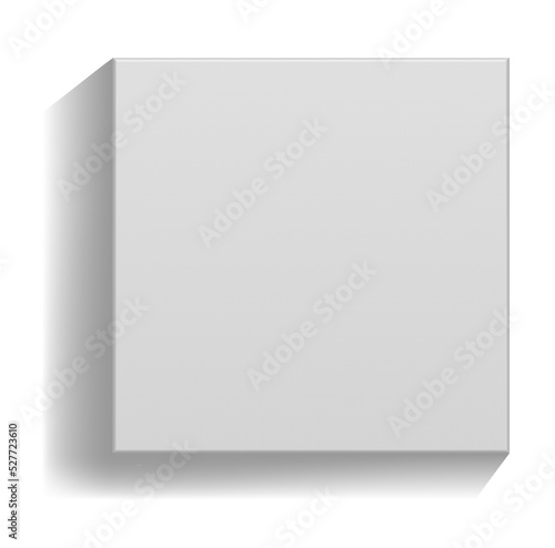 White blank canvas frame