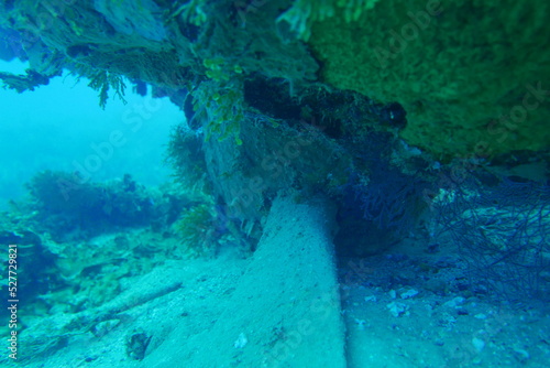 Wallpaper Mural Japanese navy airplane Betty bomber in WW2 Chuuk (Truk lagoon), Federated States of Micronesia (FSM). Here is the world's greatest wreck diving destination.Chuuk (Truk lagoon). Torontodigital.ca