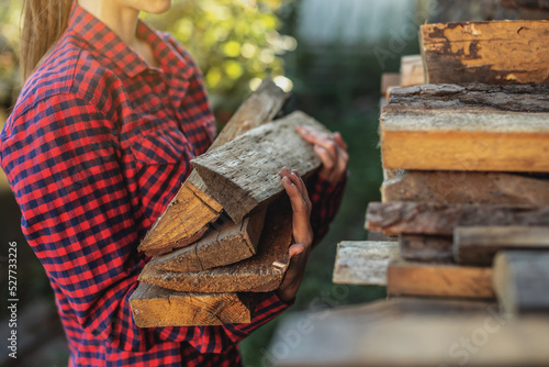 Woman is putting wood in hands from a woodpile for a home fireplace. Wood-burning heating and the energy crisis photo