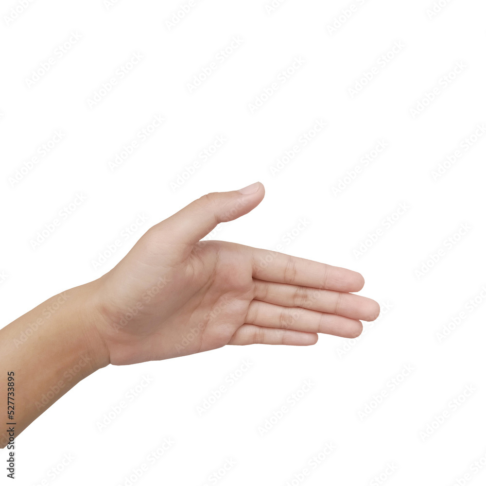 Close up Asian female hand show Number Five finger, palm hand in front, sign arm and hand isolated on a white background copy space symbol Close up Asian female hand show Number Five finger, palm hand in front, sign arm and hand isolated on a white background copy space symbol