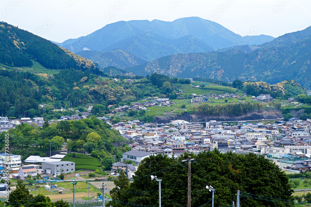 Obraz premium 川根町家山の茶畑と町並み（静岡県島田市家山)
