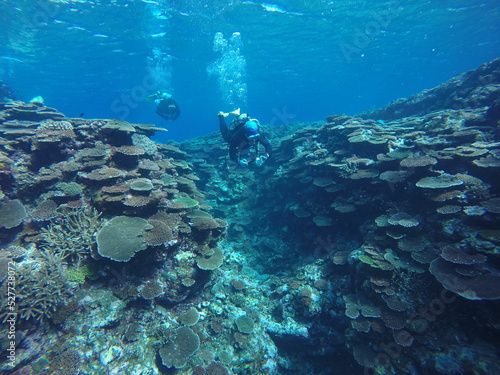 Scuba diving into coral garden at Ishigaki island, Japan