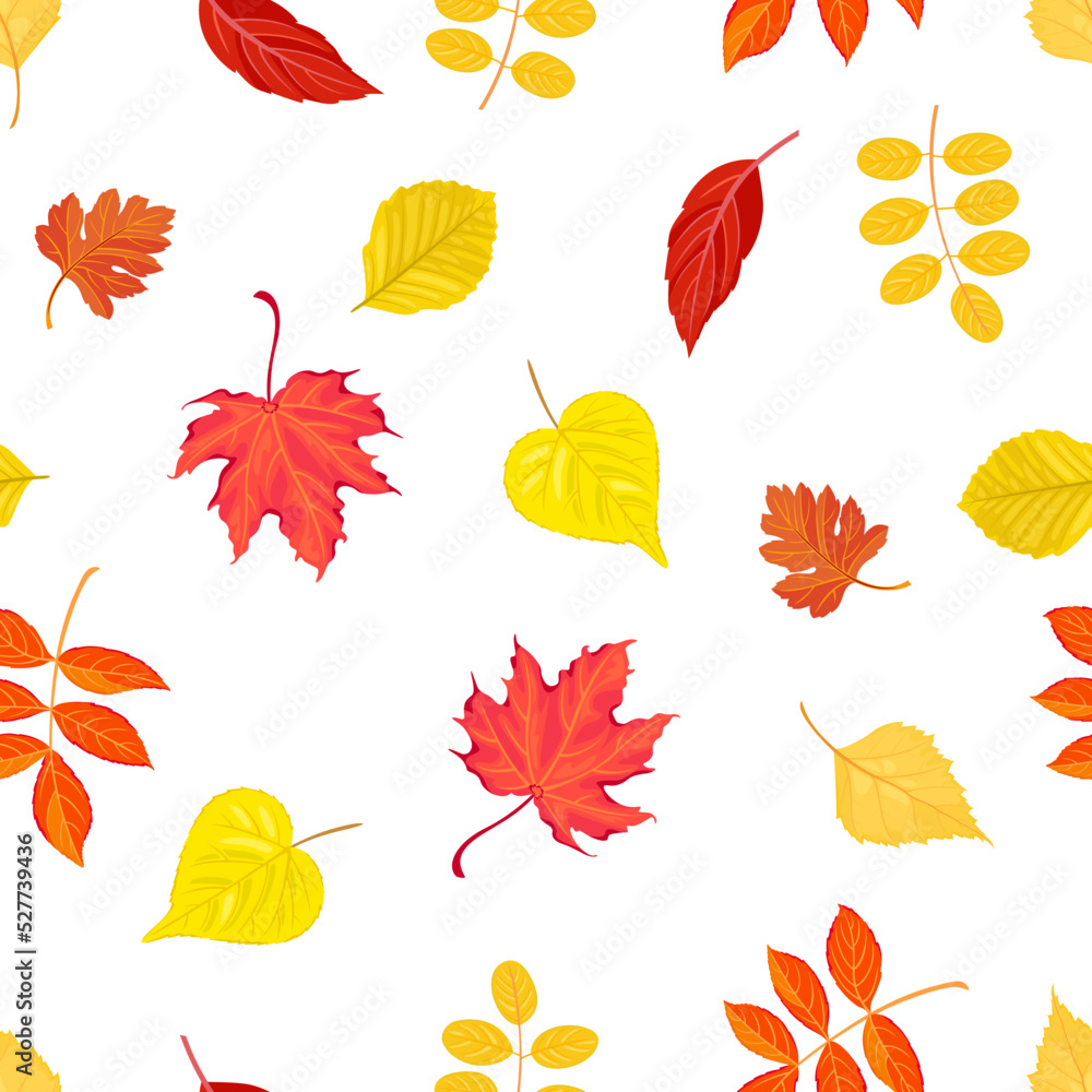 Obraz premium Botanical autumn background. Seamless pattern with colorful fallen leaves of maple, linden, birch, elm, acacia and elderberry. Vector cartoon illustration of nature.