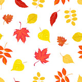 Botanical autumn background. Seamless pattern with colorful fallen leaves of maple, linden, birch, elm, acacia and elderberry. Vector cartoon illustration of nature.