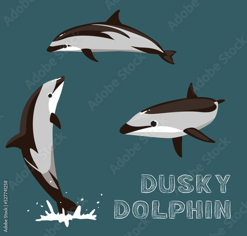 Dusky Dolphin Cartoon Vector Illustration