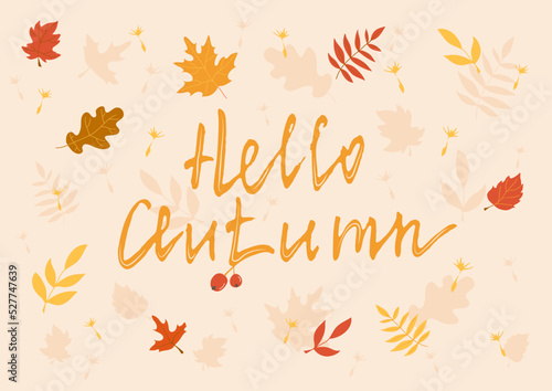 Fall background with hand drawing lettering and leaves. Hello autumn. Botanical vector illustration, template for card or invitation.