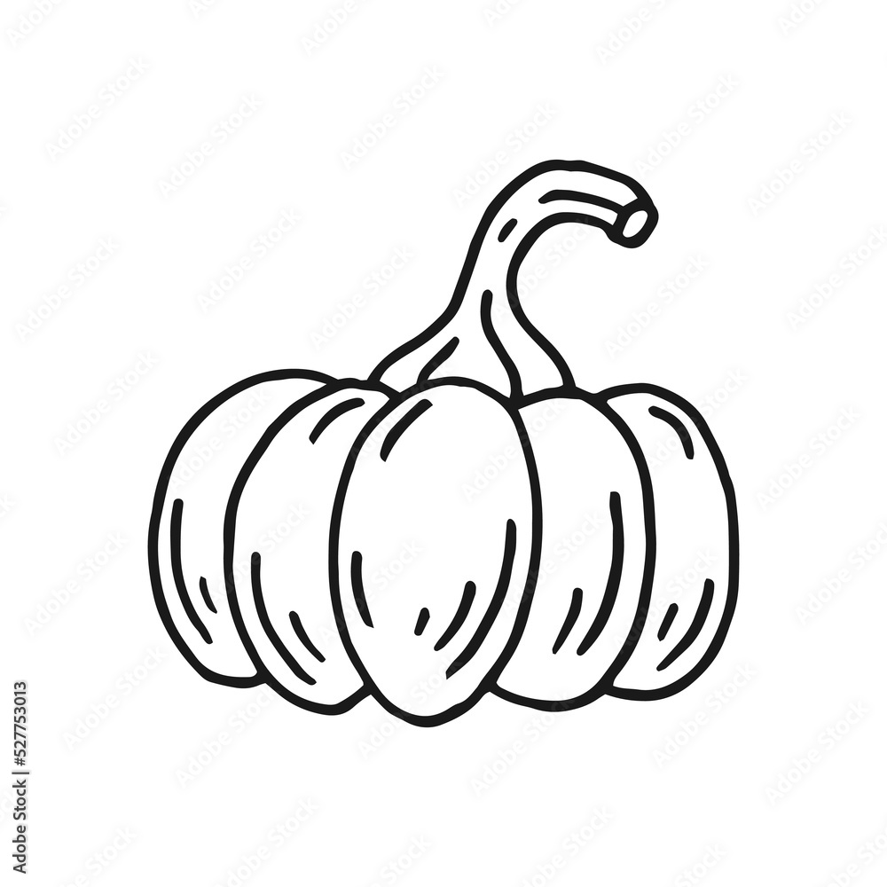 Pumpkin. Hand drawn vector illustration in doodle style. Black and white image of vegetables. Pumpkin. Hand drawn vector illustration in doodle style. Black and white image of vegetables.