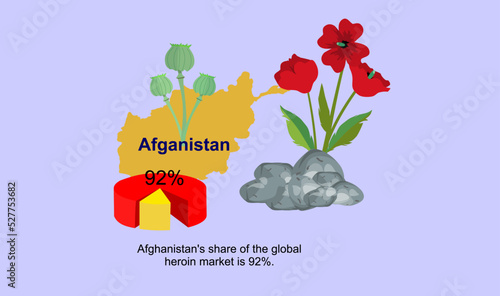 drug trafficker from afghanistan poppy and heroin opium vector