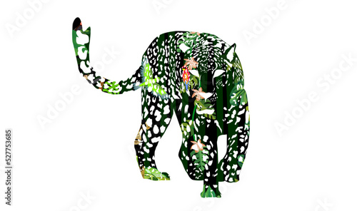 Leopard vector jungle wildlife concept image isolated