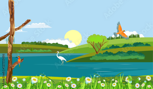 Blue river white heron green hills and plants vector countryside nature